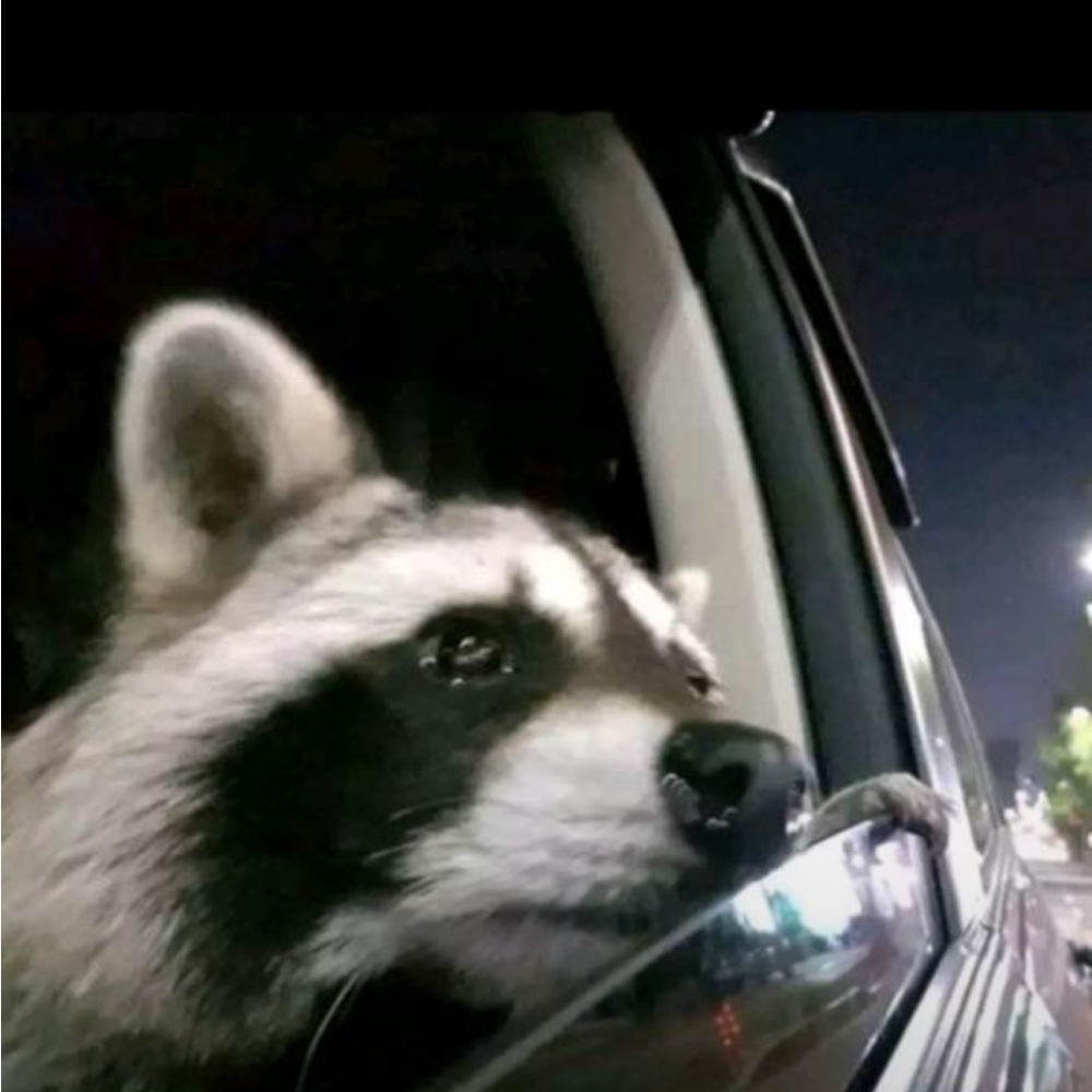 Meet your Posher, Leah